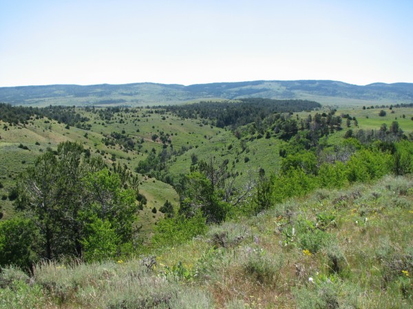 Lost Creek Ranch | Wyoming Ranch for Sale | Canyon Real Estate Cody Wyoming